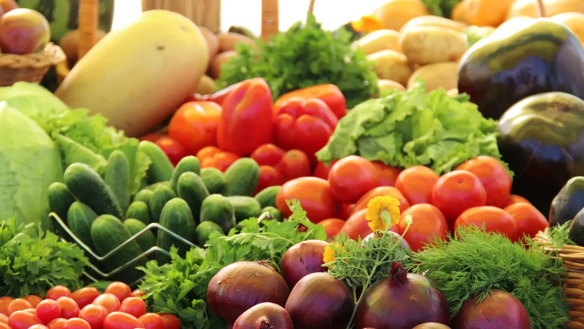 Минсельхоз предлагает до 2030 года освободить сельзозпродукцию от НДС