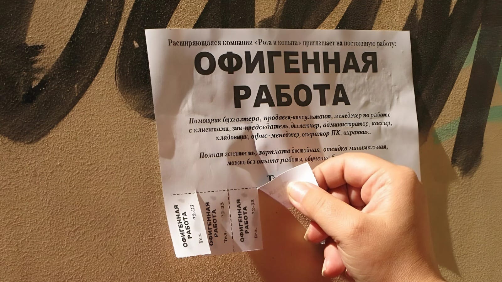 Как избежать мошенников при трудоустройстве за рубежом – памятка