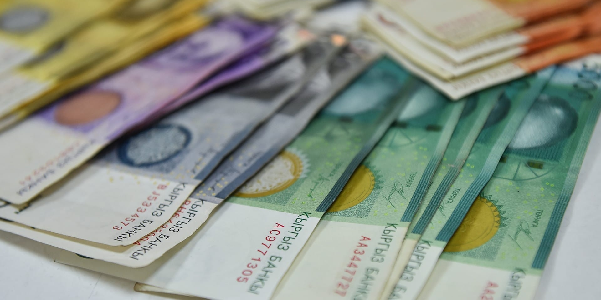 Ветслужба с начала года заработала на госуслугах более 120 млн сомов — Минсельхоз