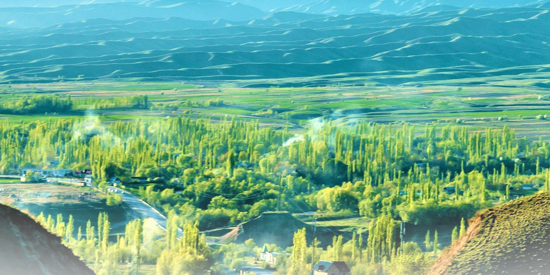 Прокуратура вернула в госсобственность земли и объекты на 3.3 млн сомов в Токтогульском районе