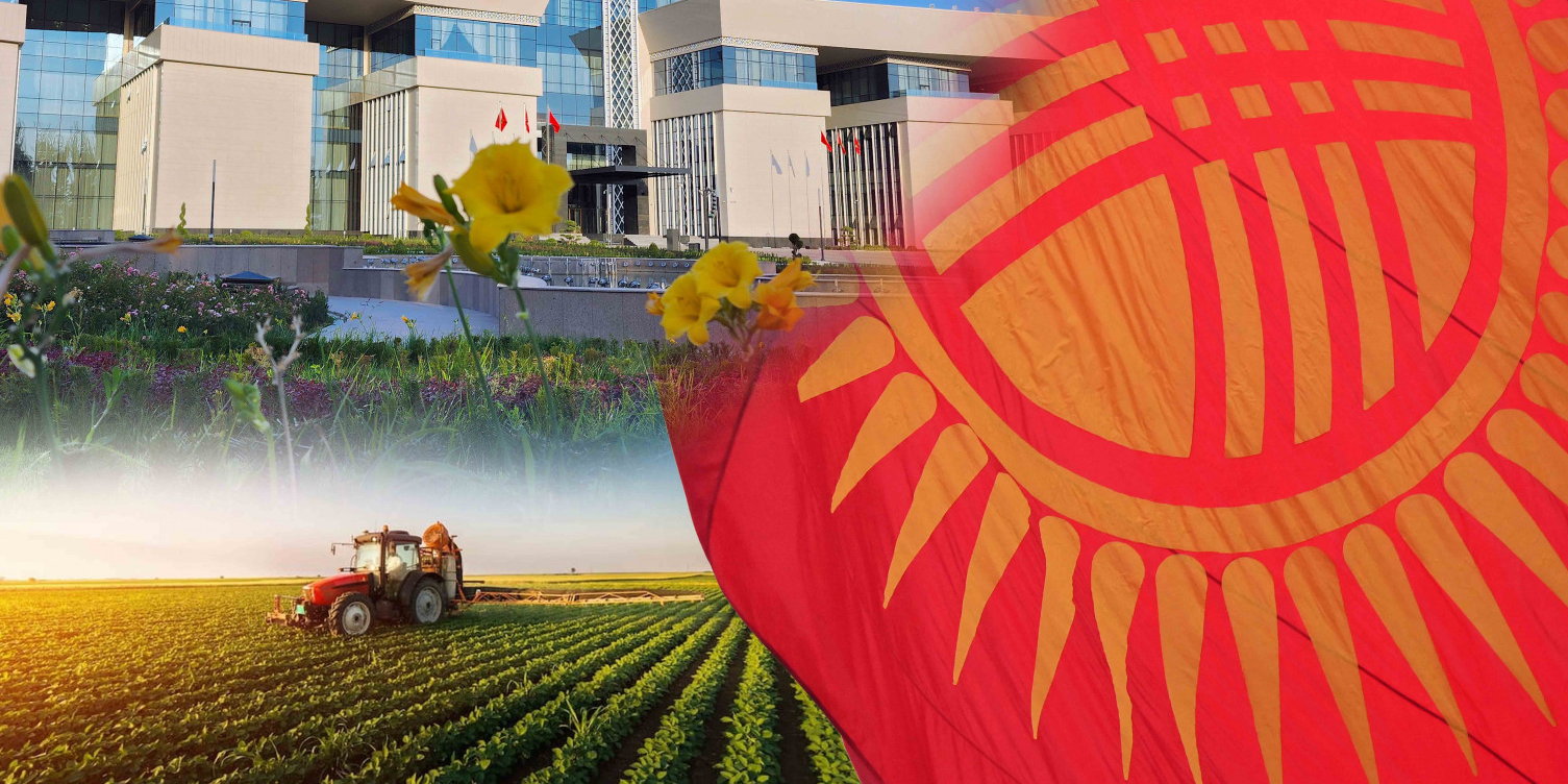 Кабмин КР оценил работу Минсельхоза за 2025 год: новые объекты, рост экспорта и поддержка фермеров