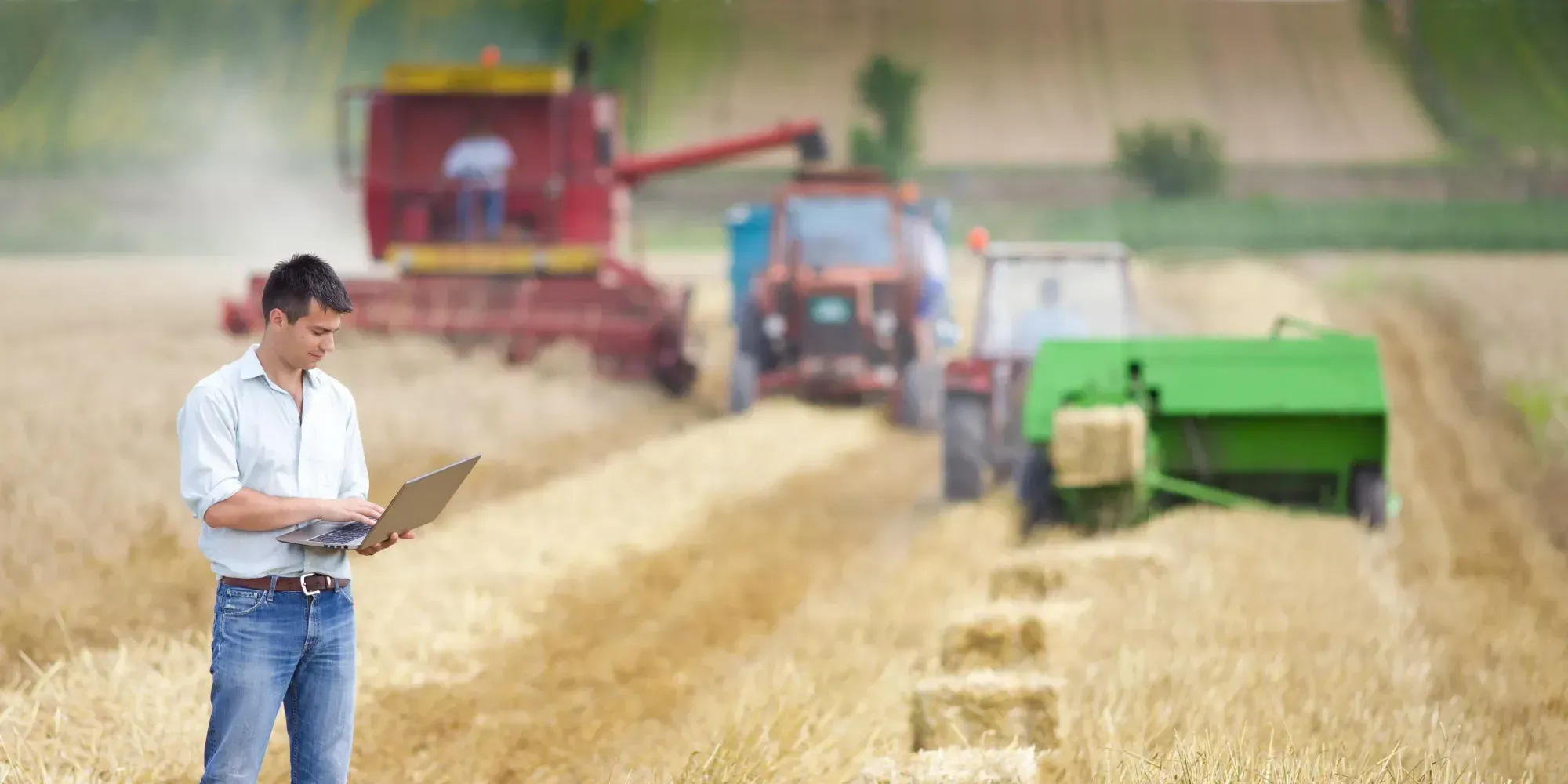 Изменения в налоговом законодательстве: Какие льготы предусмотрены для сельского хозяйства?