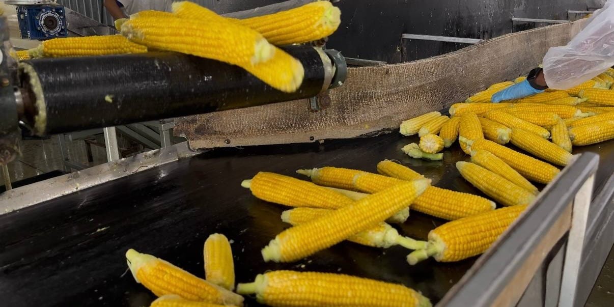 Минсельхоз призвал внедрять кластерный подход в агросекторе, поставив в пример компанию «Нуристан»