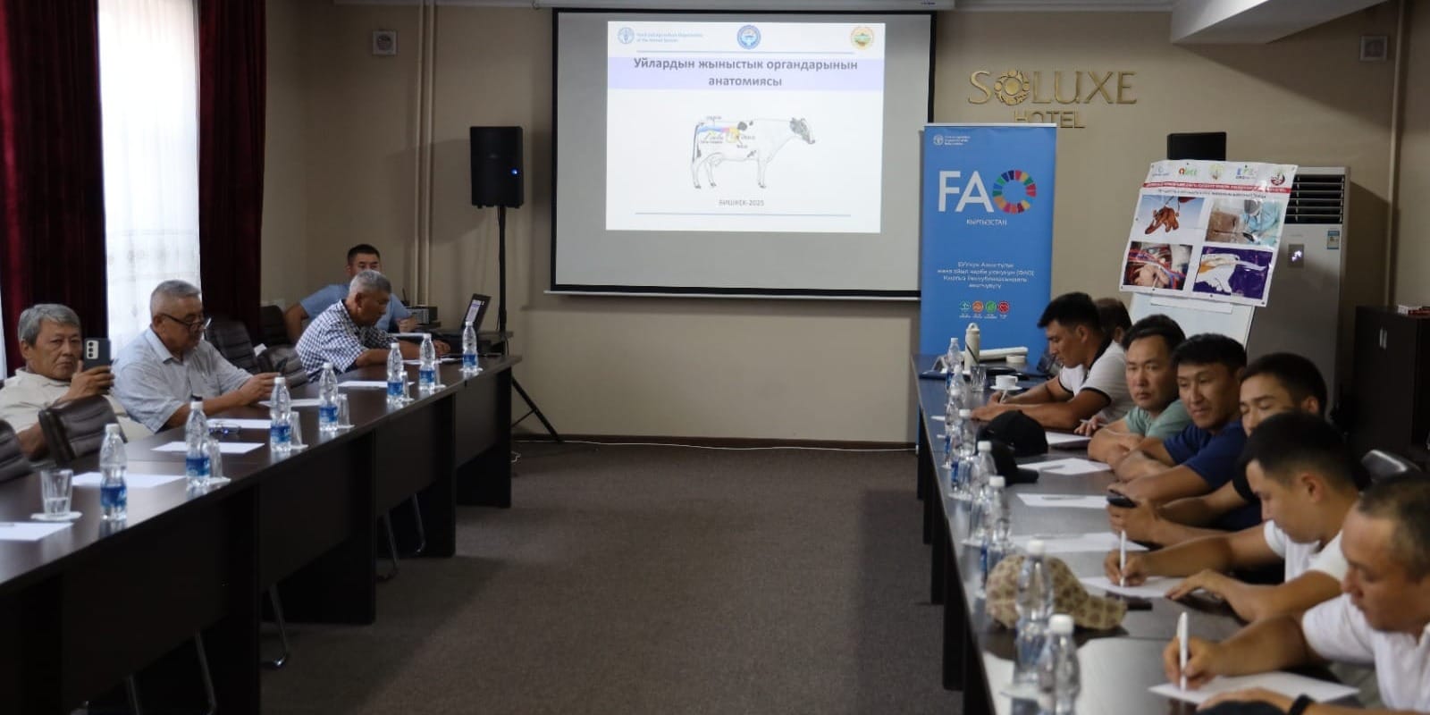 В КР стартовала программа бесплатного обучения по искусственному осеменению КРС