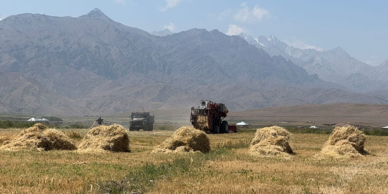 В Чон-Алайском районе идет уборка зерновых – аграриям выделили 70 тысяч литров дизеля