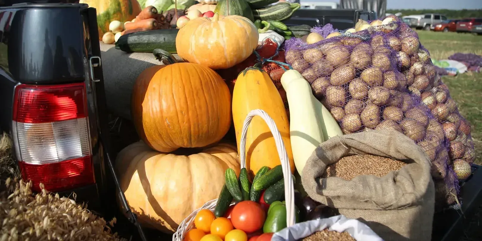 Минсельхоз призвал аграриев активнее использовать практику второго урожая