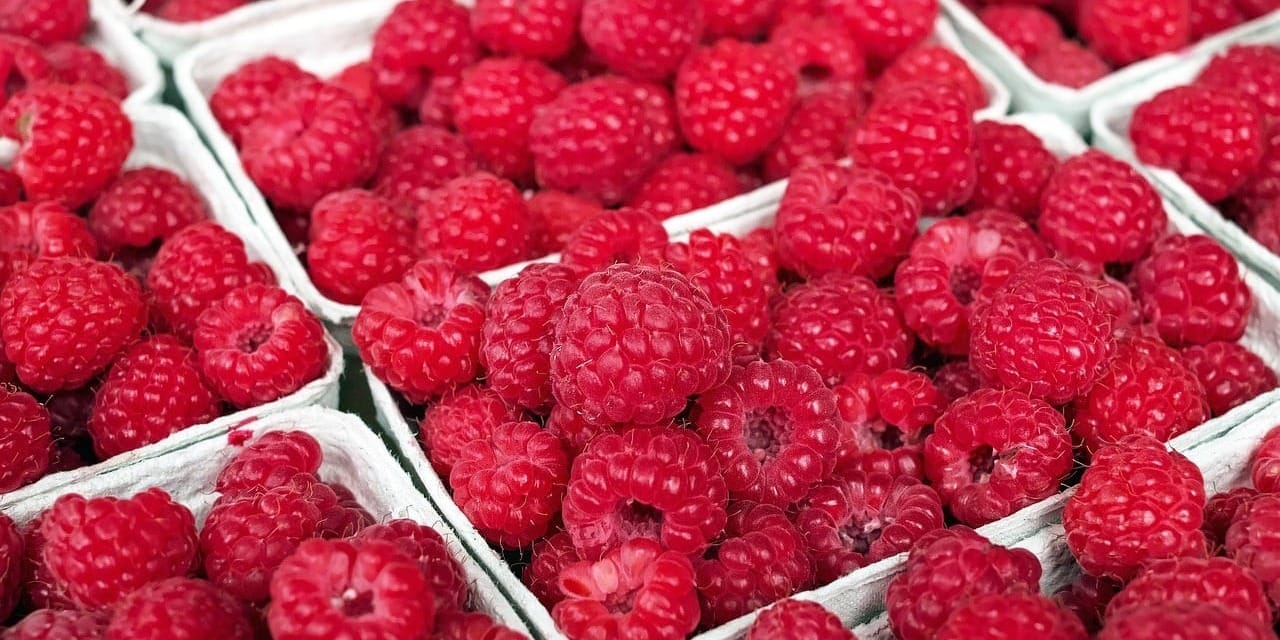 Через платформу Agro Fi экспортировано 1800 тонн малины в страны СНГ, Сербию и Литву