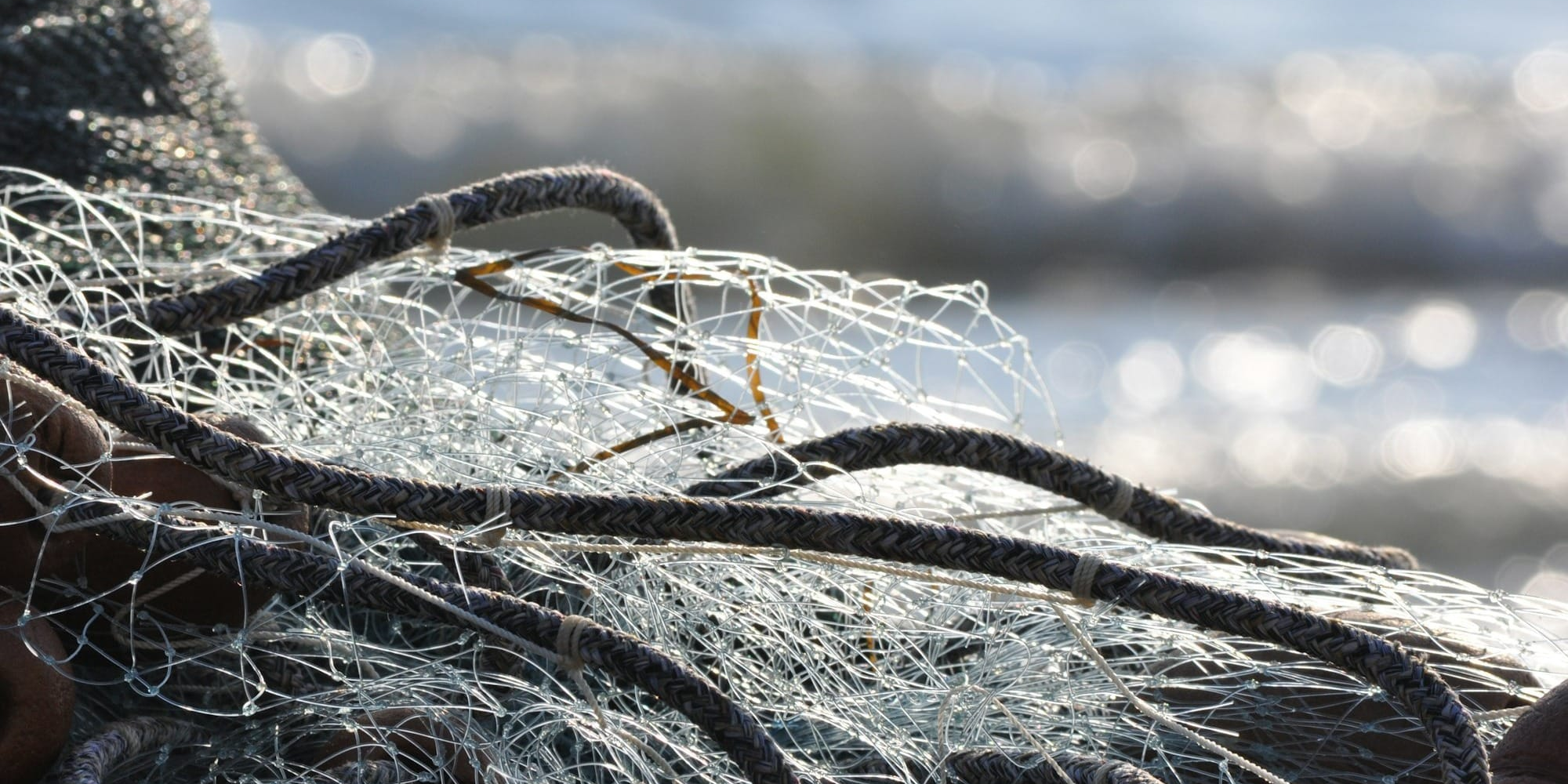 На Иссык-Куле изъято более 8 км браконьерских сетей