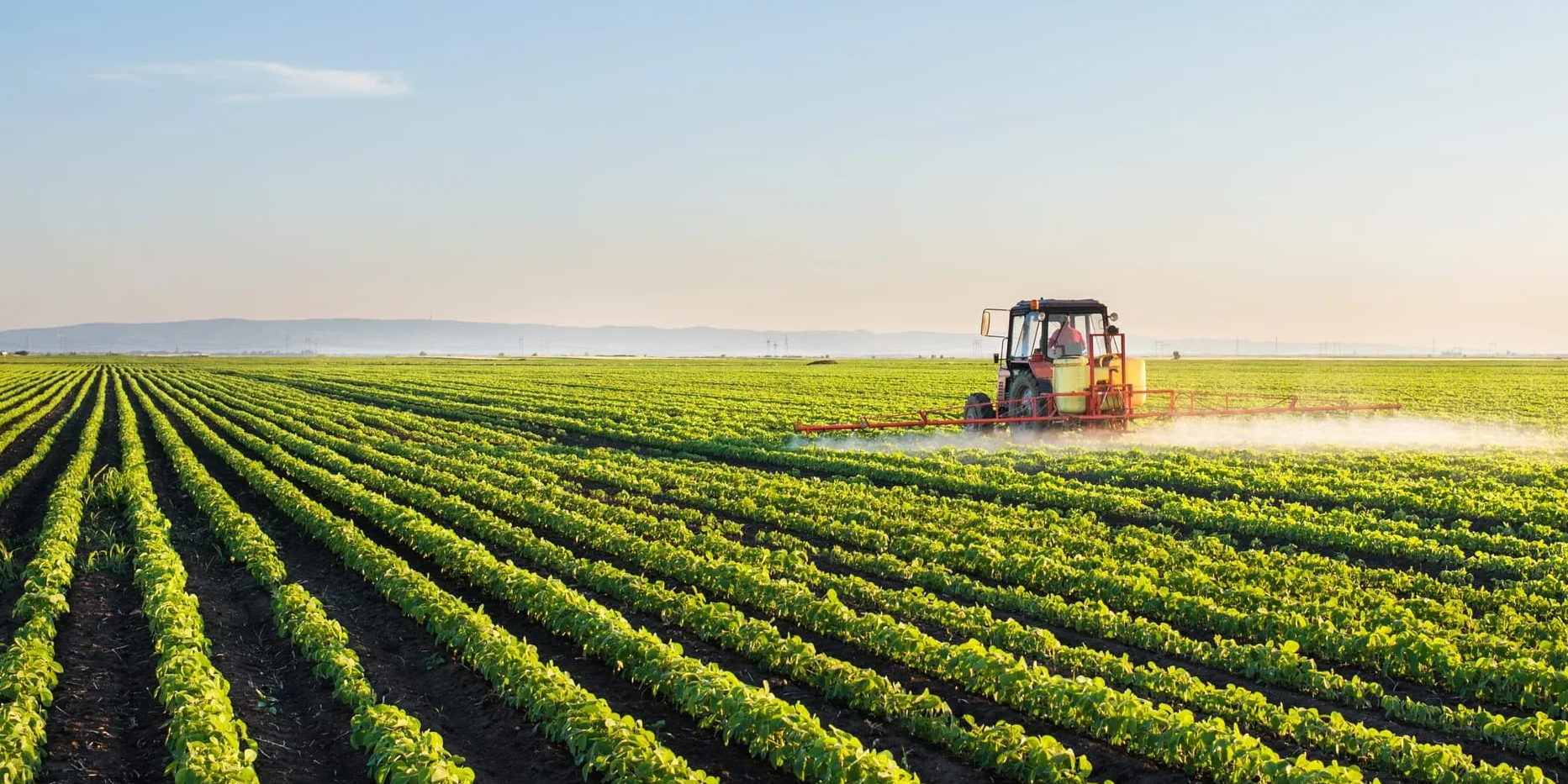 С начала года по проекту «ФСХ-13» выдано более 6.4 тысячи льготных кредитов на 4 млрд сомов