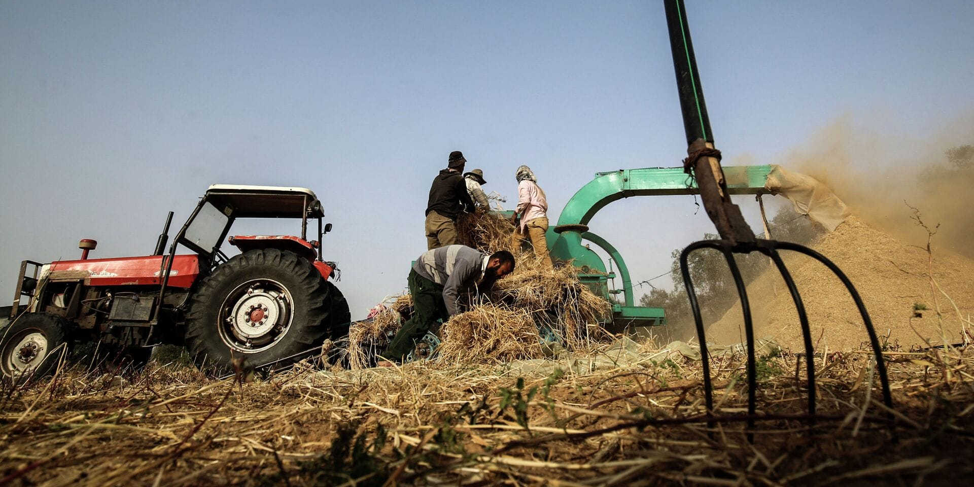 ФСХ-13: Фермерам Кыргызстана выдали более 4 млрд сомов льготных кредитов
