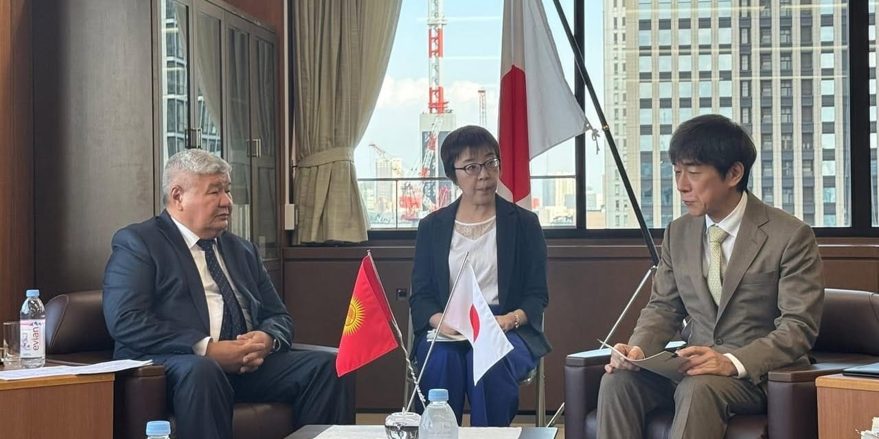 Кыргызстан и Япония договорились активизировать сотрудничество в энергетике