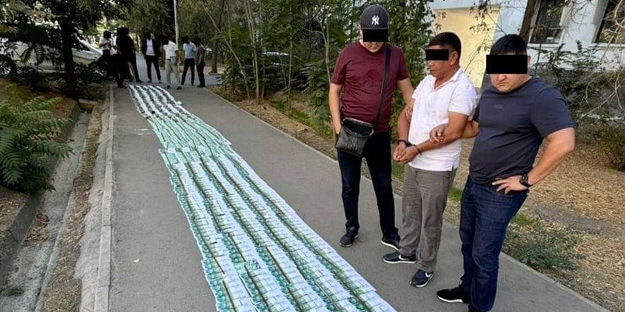 Начальника Чаткальского лесхоза задержали по подозрению в вымогательстве 5 млн сомов