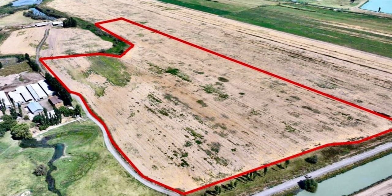 ГКНБ пресек схему «земельной мафии» в Сокулукском районе: в частные руки вывели 15 га сельхозземель