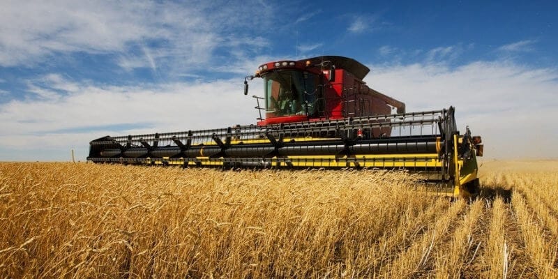 В Кыргызстане собрали почти 1.7 млн тонн зерна — урожайность выросла