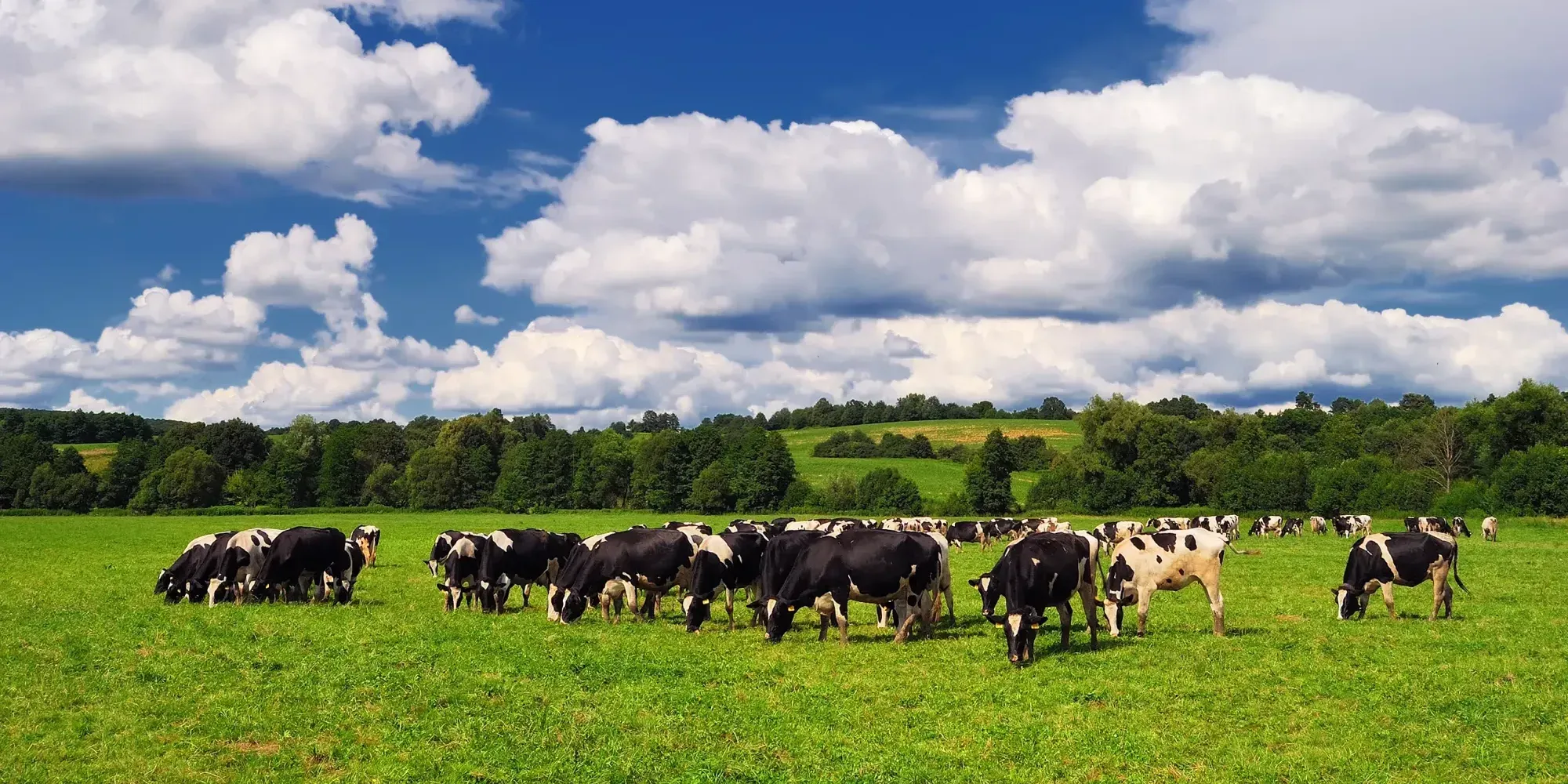 Нацстатком готовится к сельскохозяйственной переписи 2025 года