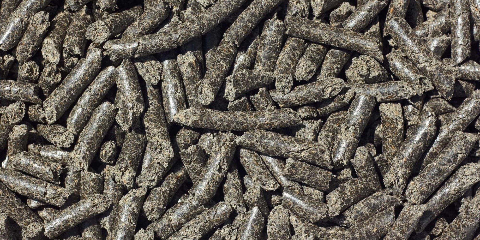 В Казахстан вернули 48 тонн подсолнечного шрота из-за отсутствия фитосертификата