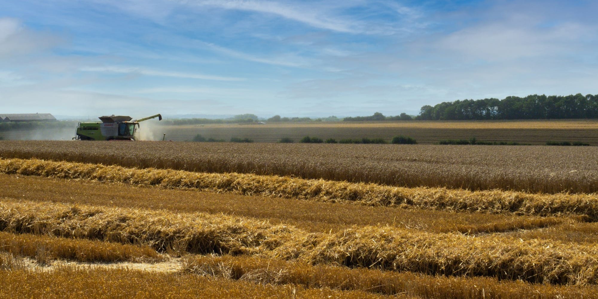 В Кыргызстане собрано более 1 миллиона тонн зерновых культур