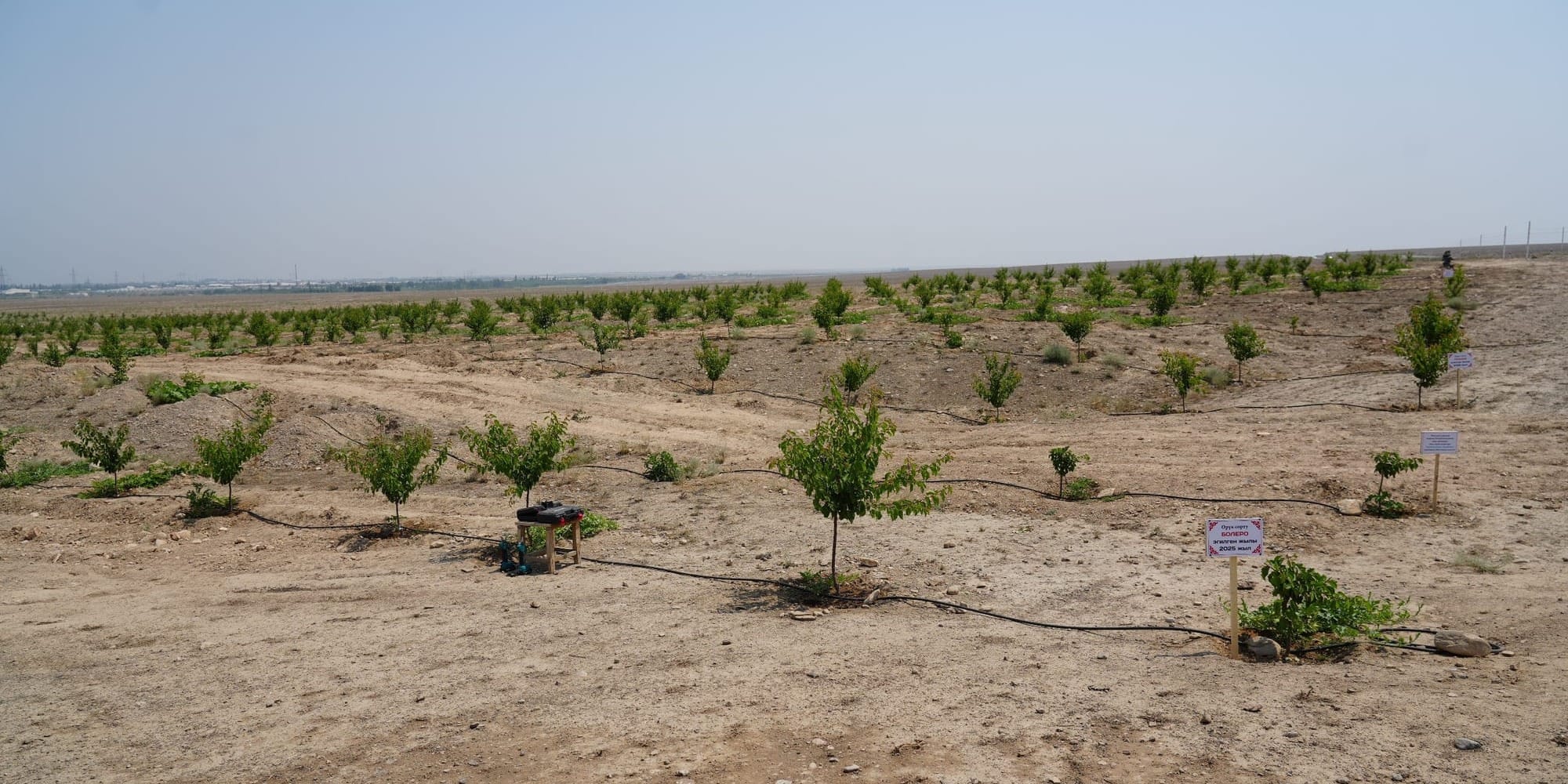 Минсельхоз готов помочь фермерам освоить малоплодородные земли под сады