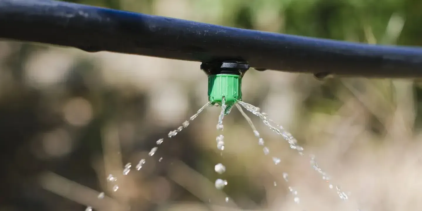 Водосберегающие ирригационные системы исключены из расчета ущерба за порчу земель