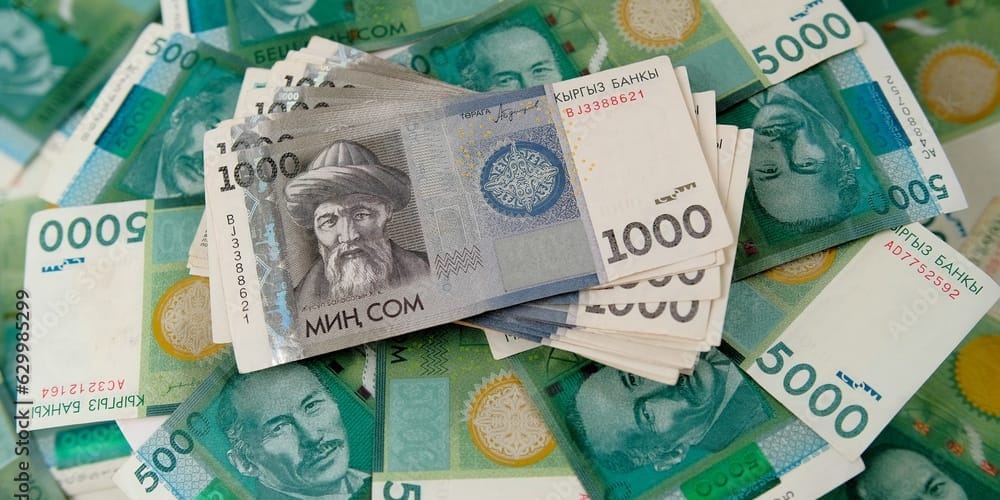 ФСХ-13: Аграриям выдали 6.5 тысячи льготных кредитов на 4 млрд сомов