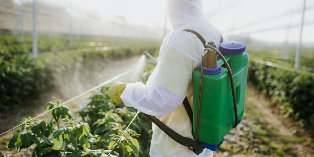 Пестициды под контролем: кабмин КР ввел новую систему оценки рисков