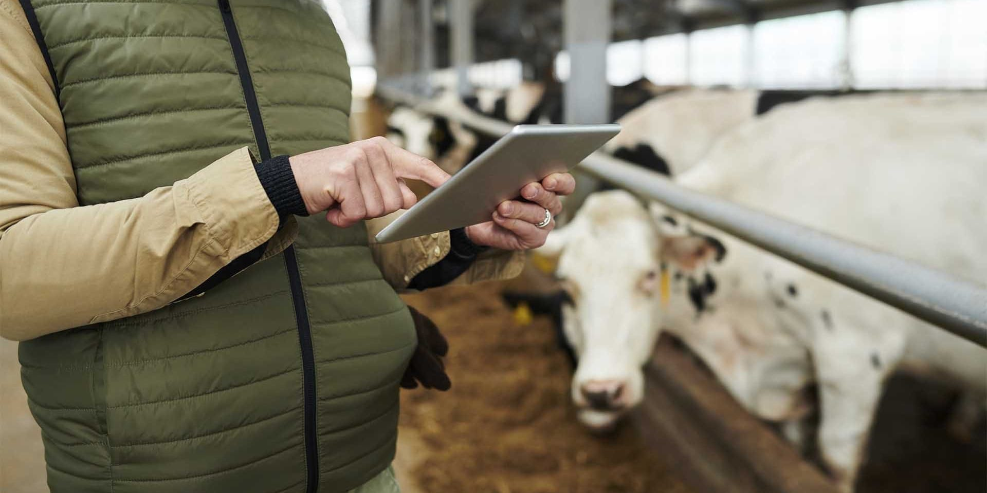 Сельхозперепись в Кыргызстане перенесли на весну 2026 года