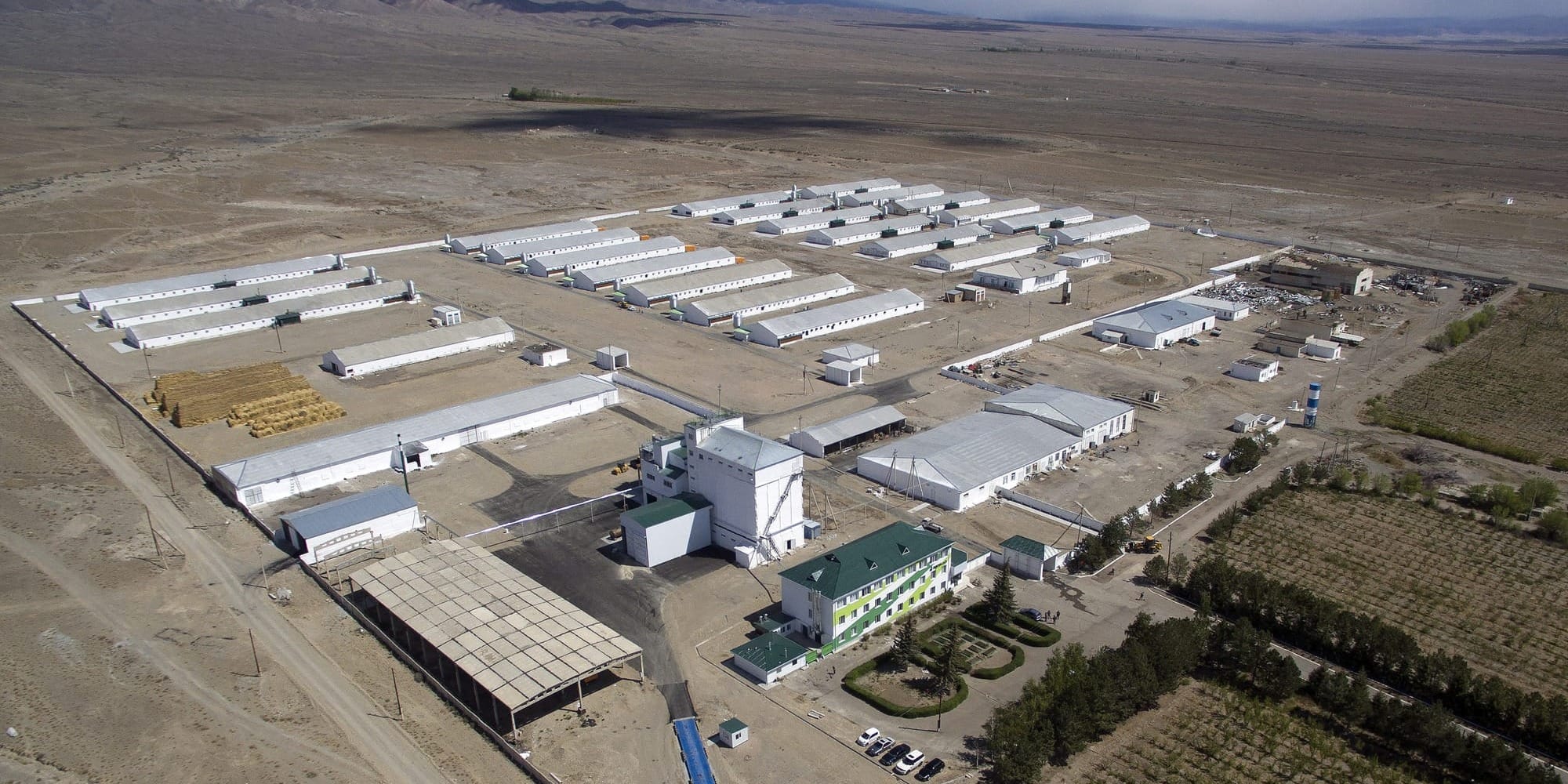 Когда границы закрыли — открылась точка продовольственной опоры