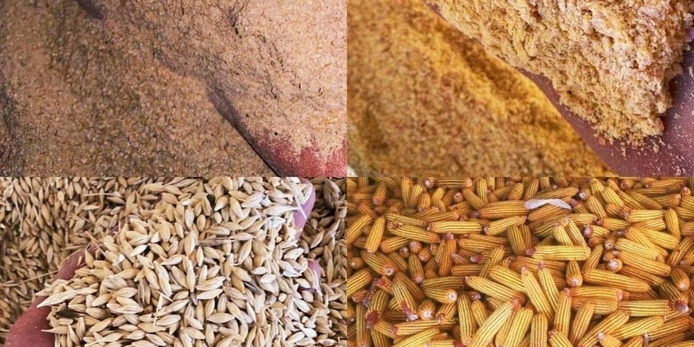 В Кыргызстане убрали 91.2% сельхозкультур – Минсельхоз