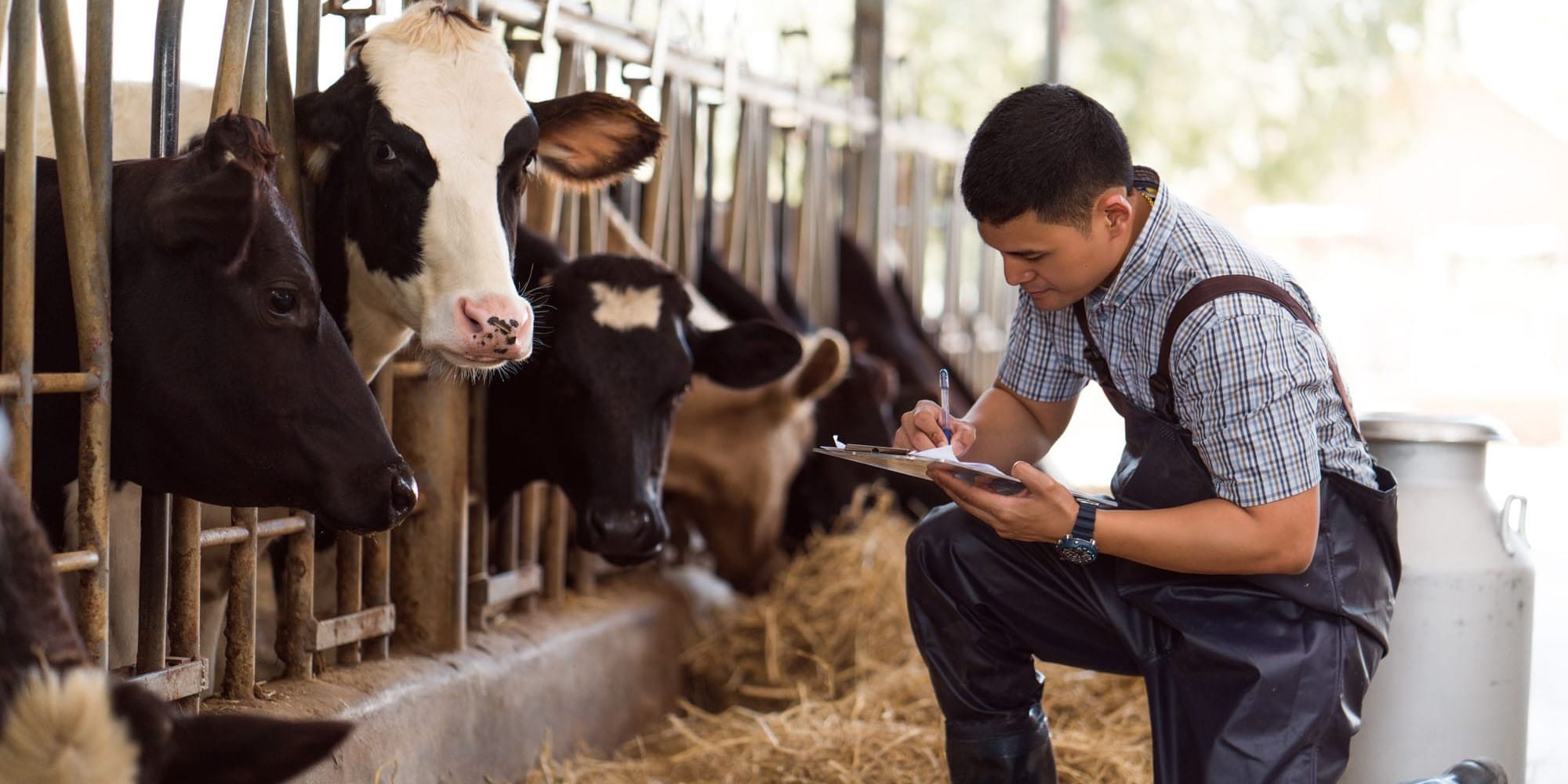 Кабмин перенес сроки проведения учета сельского хозяйства на 2026 год