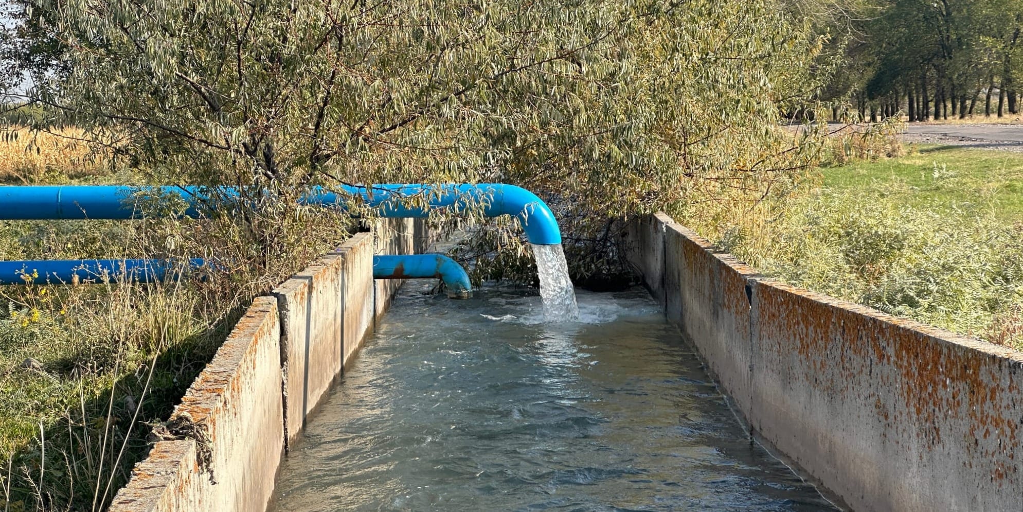 Пять новых скважин в Панфиловском районе обеспечивают полив 1.6 тысячи га земель — фото