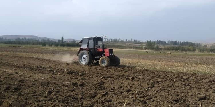 В Аксыйском районе засеяно 1.2 тысячи га озимой пшеницы