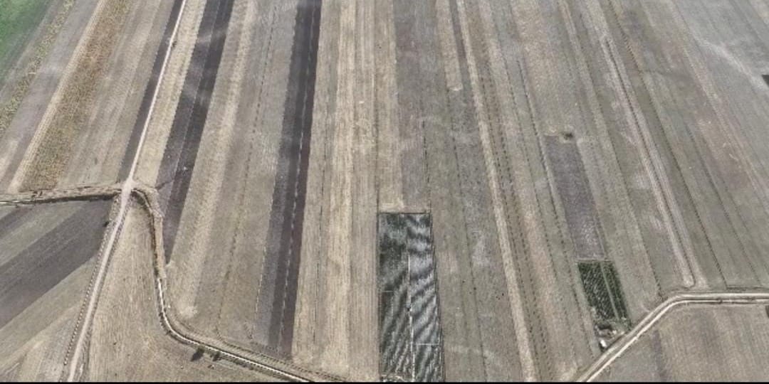 Более 2 тысяч га сельхозземель незаконно использовали в Тюпском районе