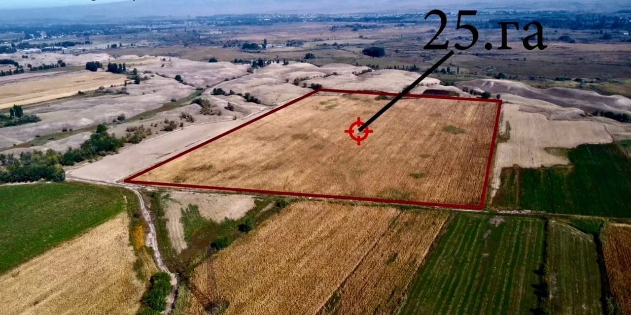 Государству возвращены 226 га сельхозземель в Чуйской области