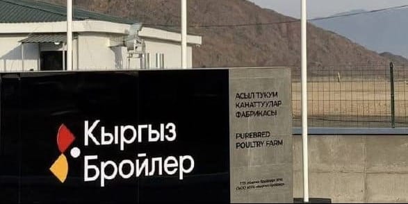 Новый комплекс «Кыргыз бройлер» обеспечит выпуск 21 млн инкубационных яиц в год