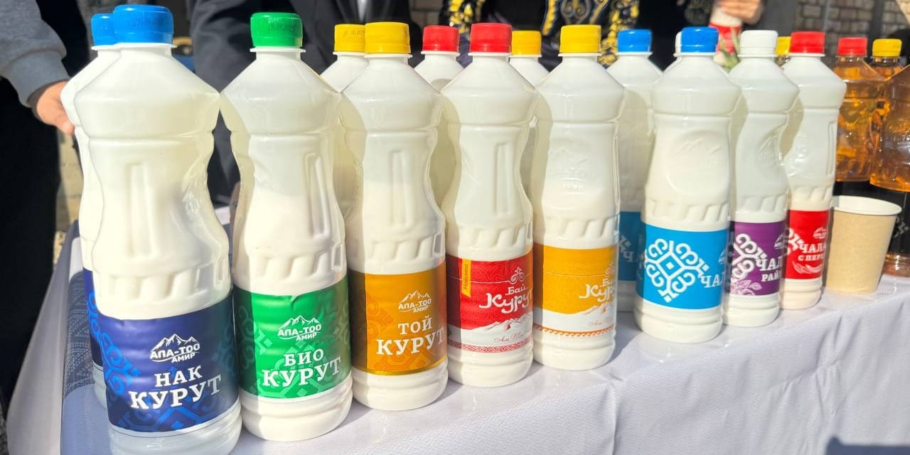 «Ала-Тоо Амир» перерабатывает 3 тысячи тонн молока в год — в планах запуск нового завода