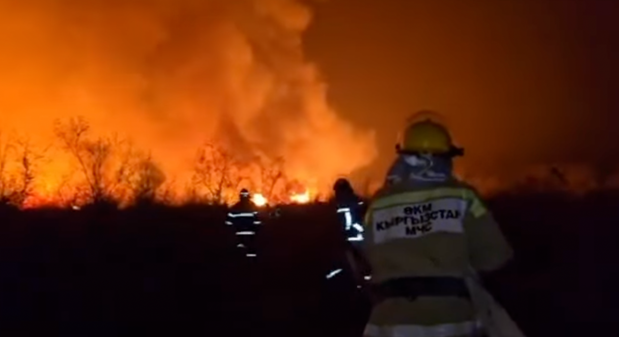 Крупный пожар под Токмоком ликвидирован, пострадавших нет