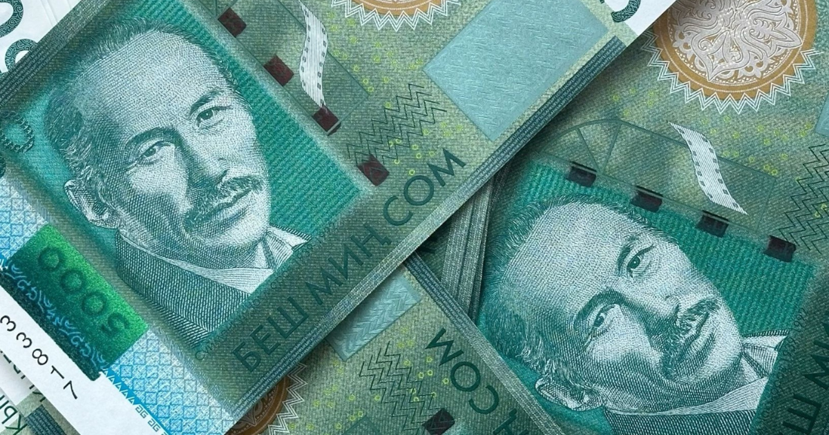 Госфинхолдинг вложил 4.5 млрд сомов в госбумаги и выступил поручителем на $25 млн