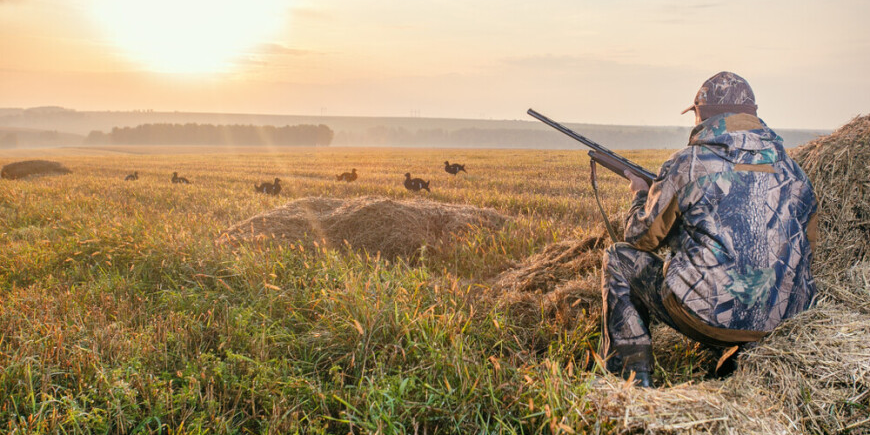 В Чуйской области выставлены на конкурс шесть охотугодий общей площадью 1.19 млн га