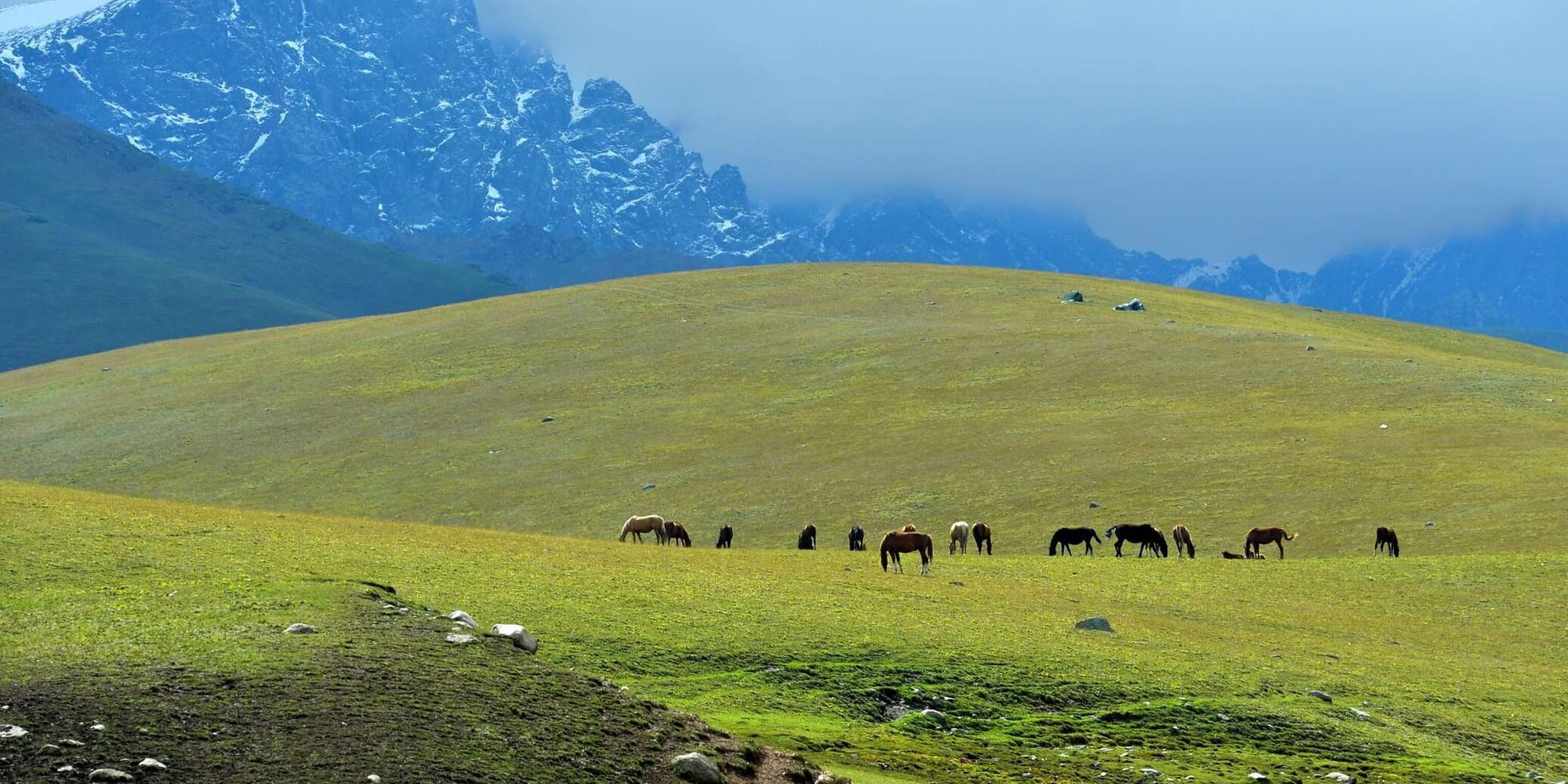 В Кыргызстане восстановлено 3.2 тысячи га малоплодородных пастбищ
