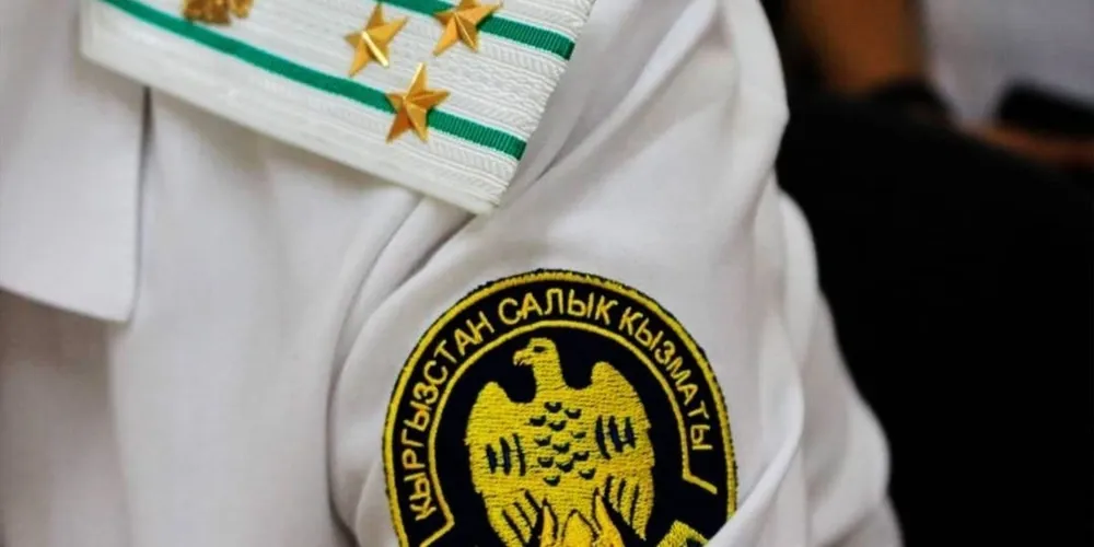 Президент уточнил полномочия ГНС по отчетности и контролю на границе