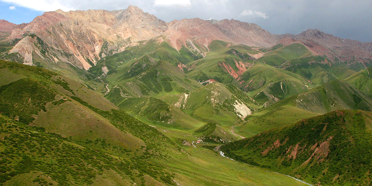 Кабмин отменил решения о трансформации земель заповедника Беш-Арал