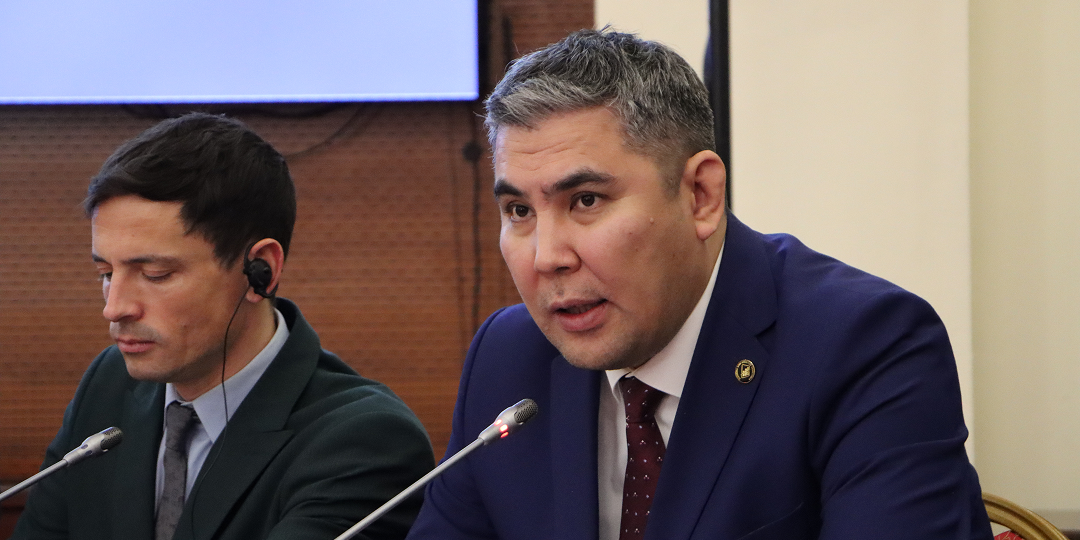 В Минэкономики обсудили развитие высокогорных и приграничных регионов до 2030 года