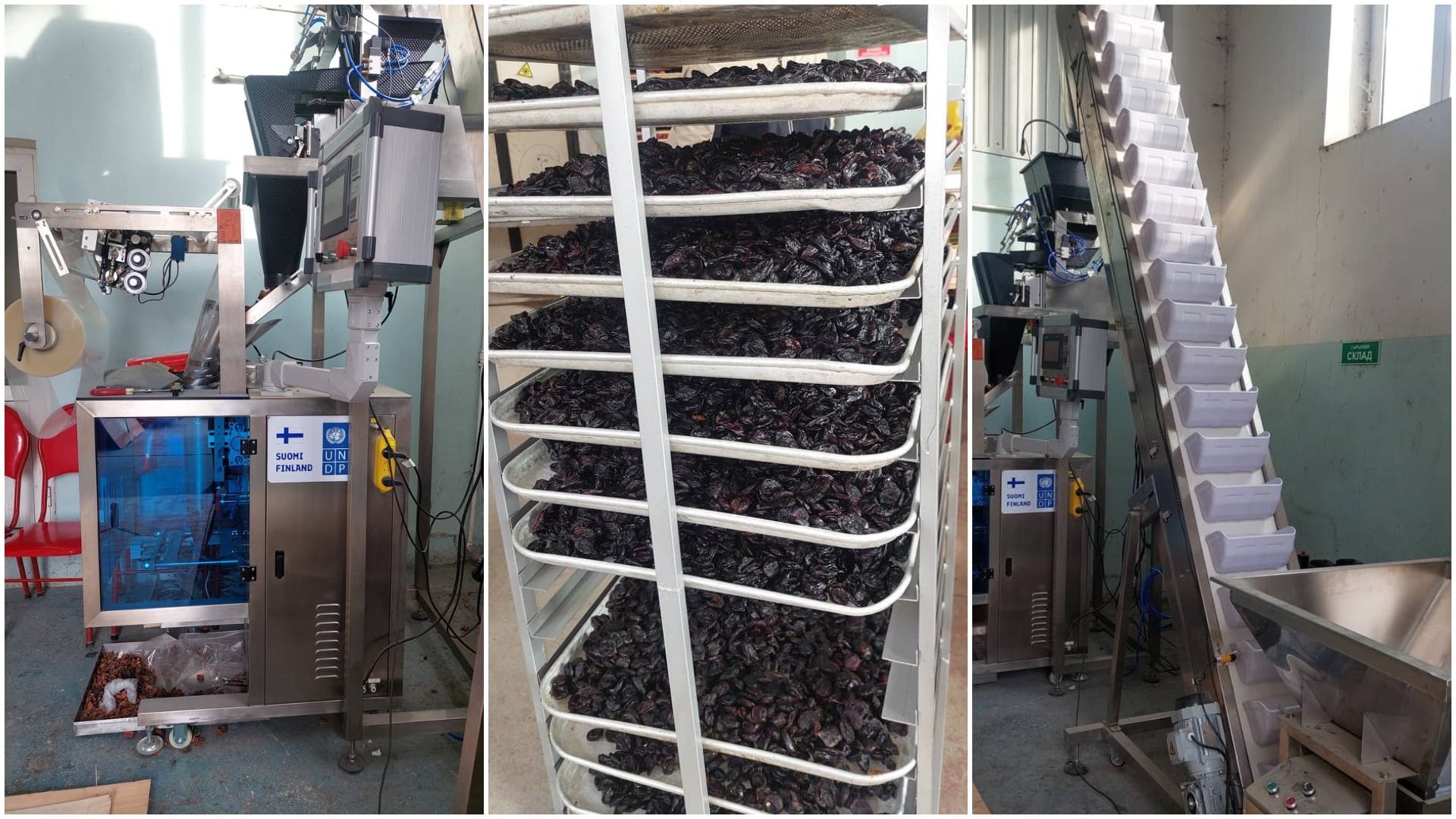 В Уч-Коргоне запустили цех по переработке сухофруктов и холодильный склад: инвестиции — 16.6 млн сомов