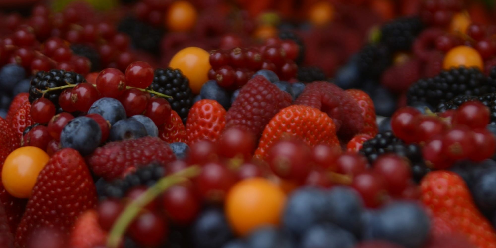 Ягодное эмбарго: кабмин КР предлагает временно запретить ввоз ряда плодово-ягодных саженцев