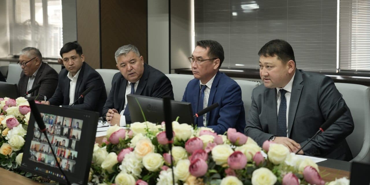 Онлайн-совещание МСХ КР о мерах стабилизации цен на говядину и баранину с участием госорганов и рынков. Фото: Минсельхоз.