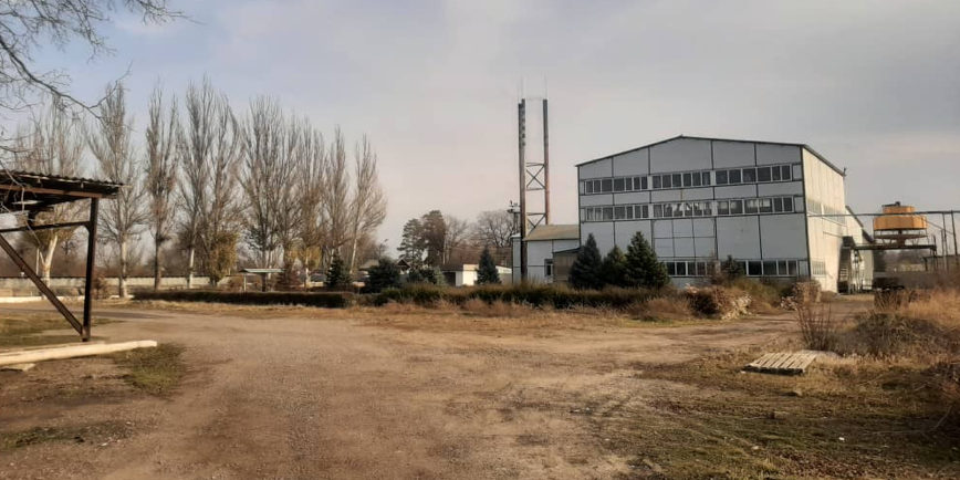 Винзавод «Винивин» с 307 га виноградников выставили на торги за 553.2 млн сомов