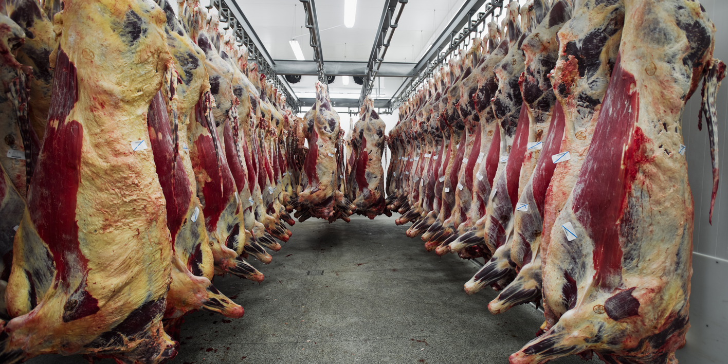 Камеры вместо проверок «на глаз»: Минсельхоз усиливает контроль скотобоен и рынков