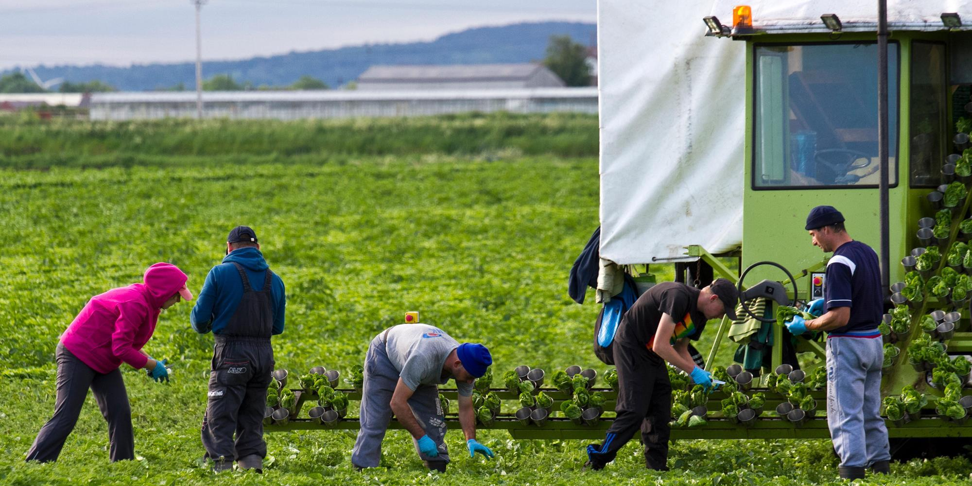 Как кыргызстанцам легально устроиться на работу в Европе: требования, документы и расходы