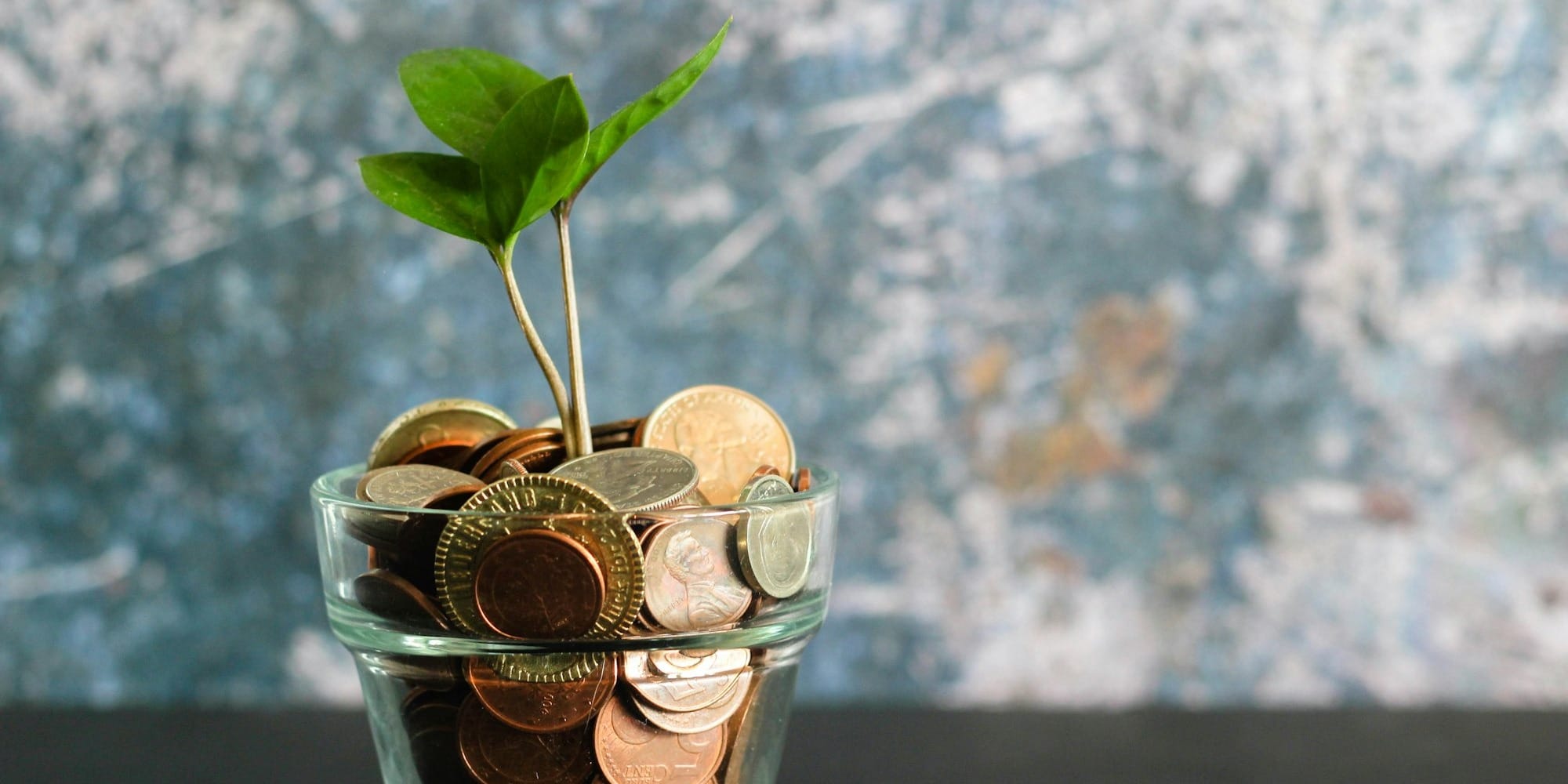 В КР объяснили, кто имеет право на пособие для жителей высокогорных и приграничных районов