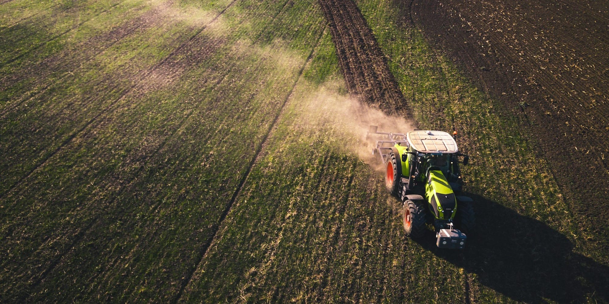 Ошская область станет опорным регионом по переработке сельхозпродукции: планы Минсельхоза